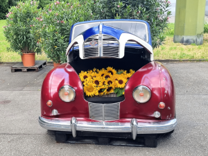 Oldtimer Front 0
